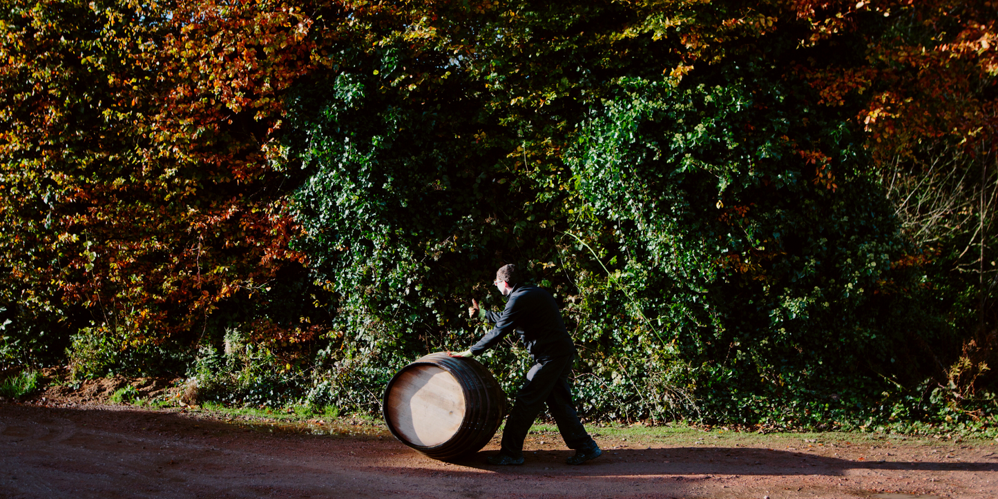 Solera System Sherry Casks